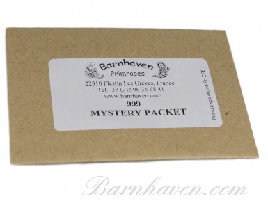 Mystery packet