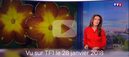TF1 JT de 13h - janvier 2018