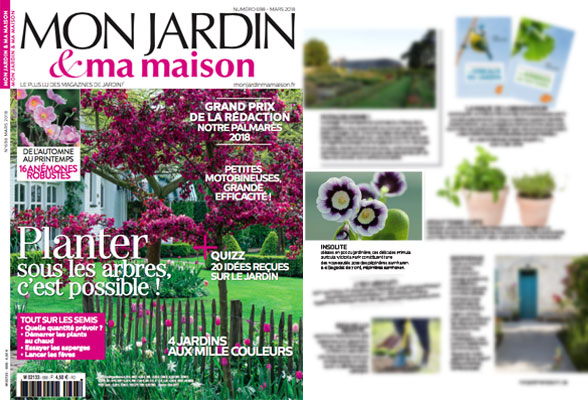 Mon Jardin & Ma Maison - mars 2018 - Primula Auriculas